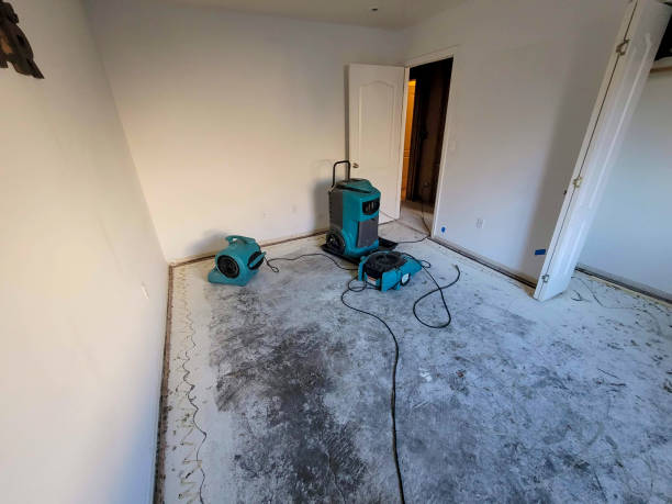 Best Local water damage restoration  in Olney, MD