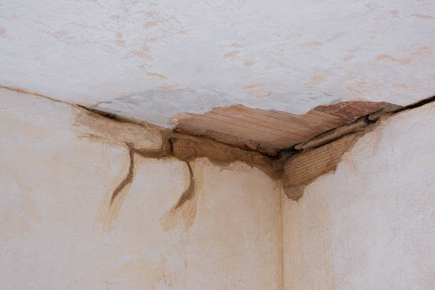 Best 24-hour water damage restoration  in Olney, MD