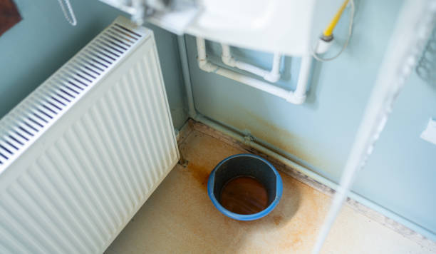 Best Water damage cleanup near me  in Olney, MD