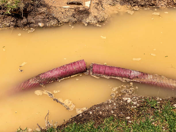 Best Water damage restoration services  in Olney, MD