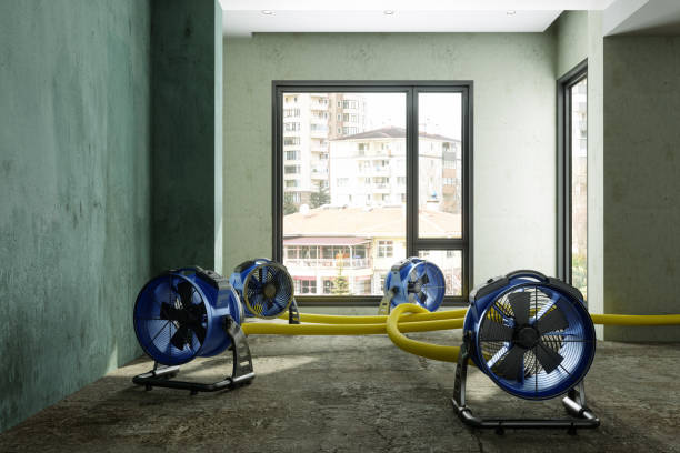 Best Emergency water damage restoration  in Olney, MD